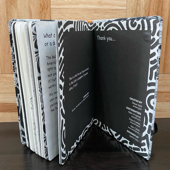 PILGRIM SOUL The Original Creative Thinking Journal High Adult Journal - Picture 8 of 14